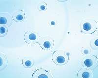 What role does electromagnetic signaling have in biological systems
