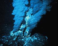 Discovery opens up new areas of microbiology, evolutionary biology