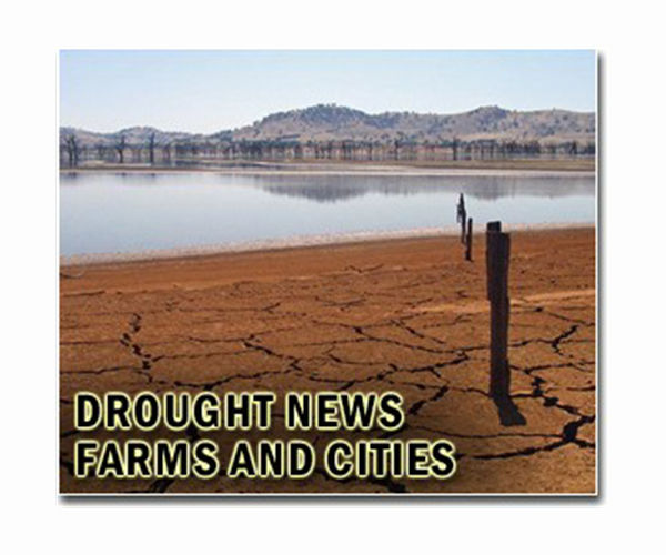 Desolate villages face famine in Madagascar drought