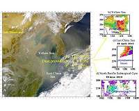 East Asian dust deposition impacts on marine biological productivity