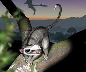 Diversity aided mammals' survival over deep time