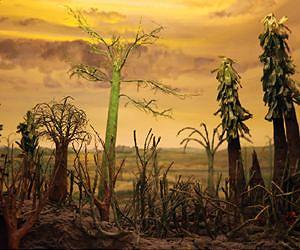 A possible cause of the end-Permian mass extinction: Lemon juice?
