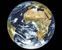 Changing Environment Organizes Genetic Structure