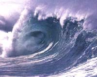 Surfing The Wave