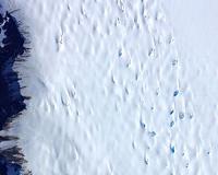 Melt Ponds Shine in NASA Laser Altimeter Flight Images