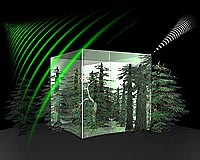 ESA Leads The Way To Map Boreal Forest