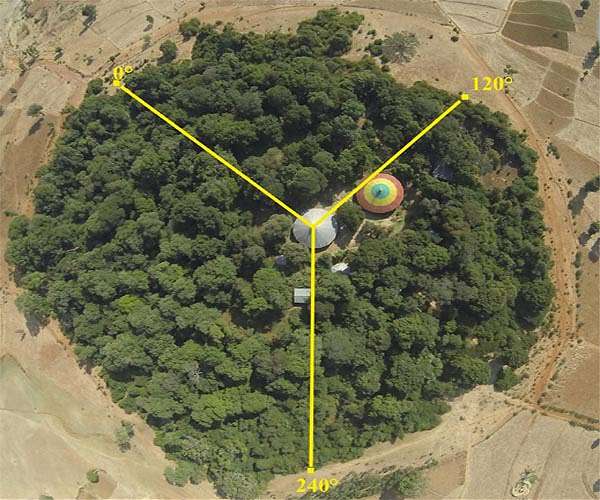 Ethiopia's Abiy kicks off massive tree-planting drive