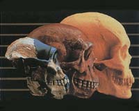 Evolution Can Occur Quickly Change Population Interaction