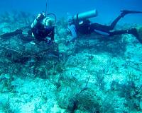 Degraded coral imperils coastal people: study