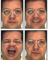 How Does The Brain Recognize Faces
