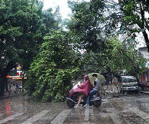 Flight chaos as typhoon lashes southern China, killing three