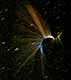 Leonid Sheds Light On Space Observation Techniques