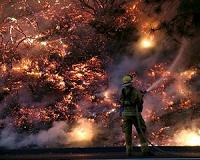 Wild fires race across California, devastate wine country