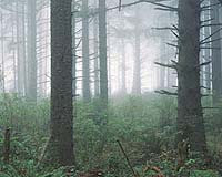 Scientists Setting Dollar Value For Ecosystem