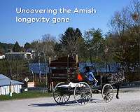 Genetic mutation in extended Amish family protects against aging