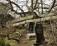 Extreme weather kills 13 in Europe