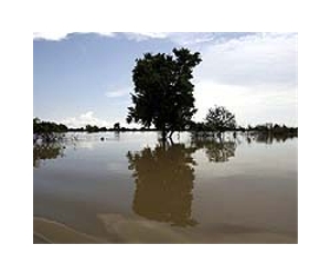 Floods leave 24 dead across Ghana : relief agency