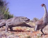 Humans, not climate, killed off Australia's big beasts
