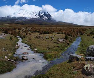Glacier-fed river systems threatened by climate change