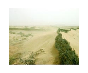 Demographic miracle in the deserts