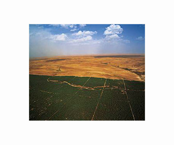 Back in the spotlight: Africa's Great Green Wall