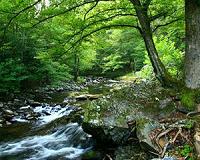 Call for greater protection at World Parks Congress