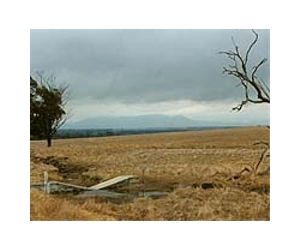 ORNL Technology Lowers Cost For Groundwater Contaminant Sensors