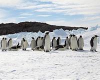 Antarctic Treaty signatories make marine protection progress