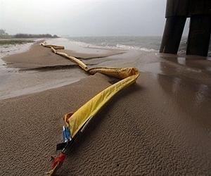 Oiled pelicans fortunes improve after Obama visit