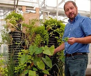 Clean Dirty Water With Roots Meshed In Waste Materials