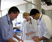 Would NHS staff Go To Work During A Flu Pandemic