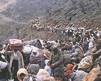 Global warming causing mass migration