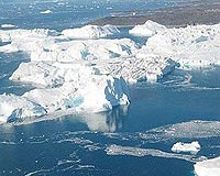 More than 100 icebergs heading towards N.Zealand: official