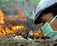 Hong Kong chicken slaughter begins after H7N9 found