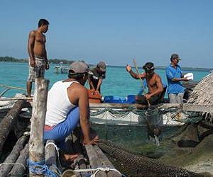 Fishermen, farmers secure livelihoods ahead of Indian cyclone