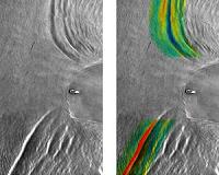 Scientists track speed of powerful internal waves