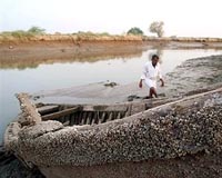 Iraq's 'Garden of Eden' waterway facing catastrophe