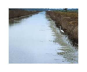 Project Provides Farmers With Clean Water By Treating Waste Salts