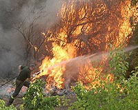 Italian forest fire rages on Genoa outskirts: official
