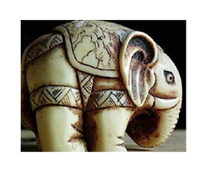 Despite ban, African ivory flows to Asia