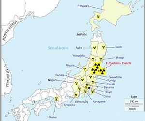 Japan to boost surveys off Fukushima: report