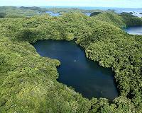 Drought takes toll at Palau's famed Jellyfish Lake