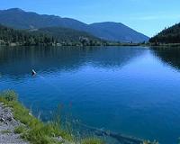 DDT lingers in Canada lakes 50 years after chemical banned: study