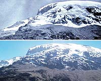 Snows of Kilimanjaro could vanish in 20 years: study