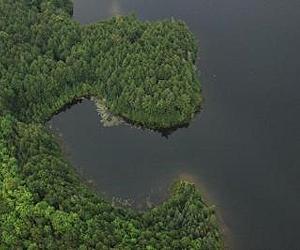 Aquatic Food Web Tied To Land
