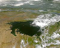 African freshwater species risk extinction