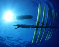 Boeing to acquire Liquid Robotics