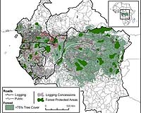 Greenpeace urges summit to end Africa's deforestation