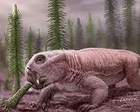 Mass extinctions led to low species diversity, dinosaur rule