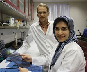 Mosquito genetics may offer clues to malaria control